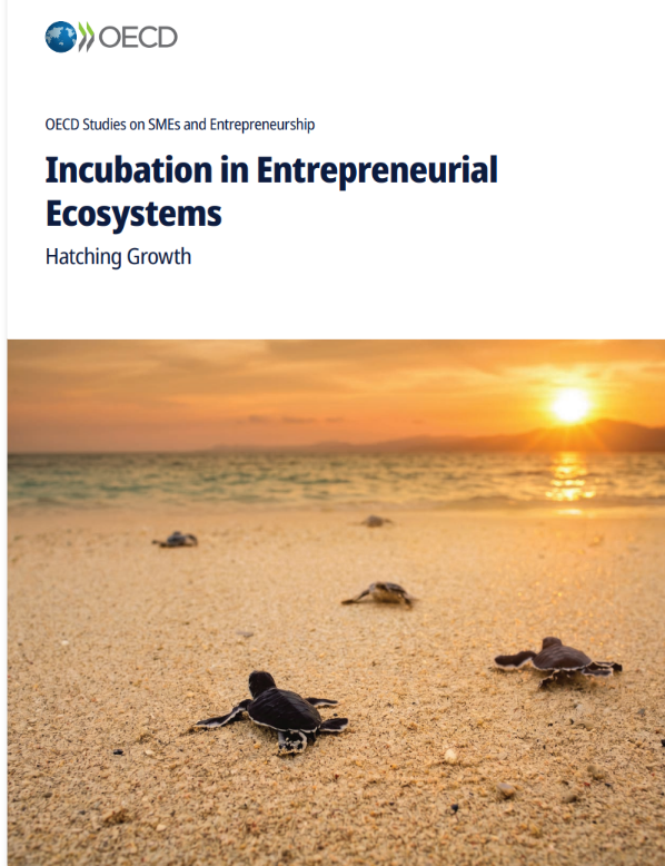 Incubation in Entrepreneurial Ecosystems